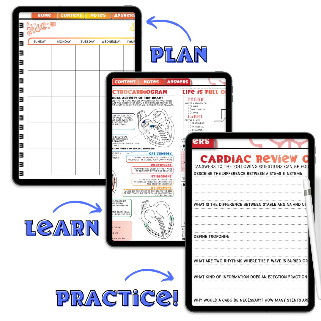 2025 Jan-Dec DIGITAL NURSE Planner 3.0 AND the Nurse Review Content!